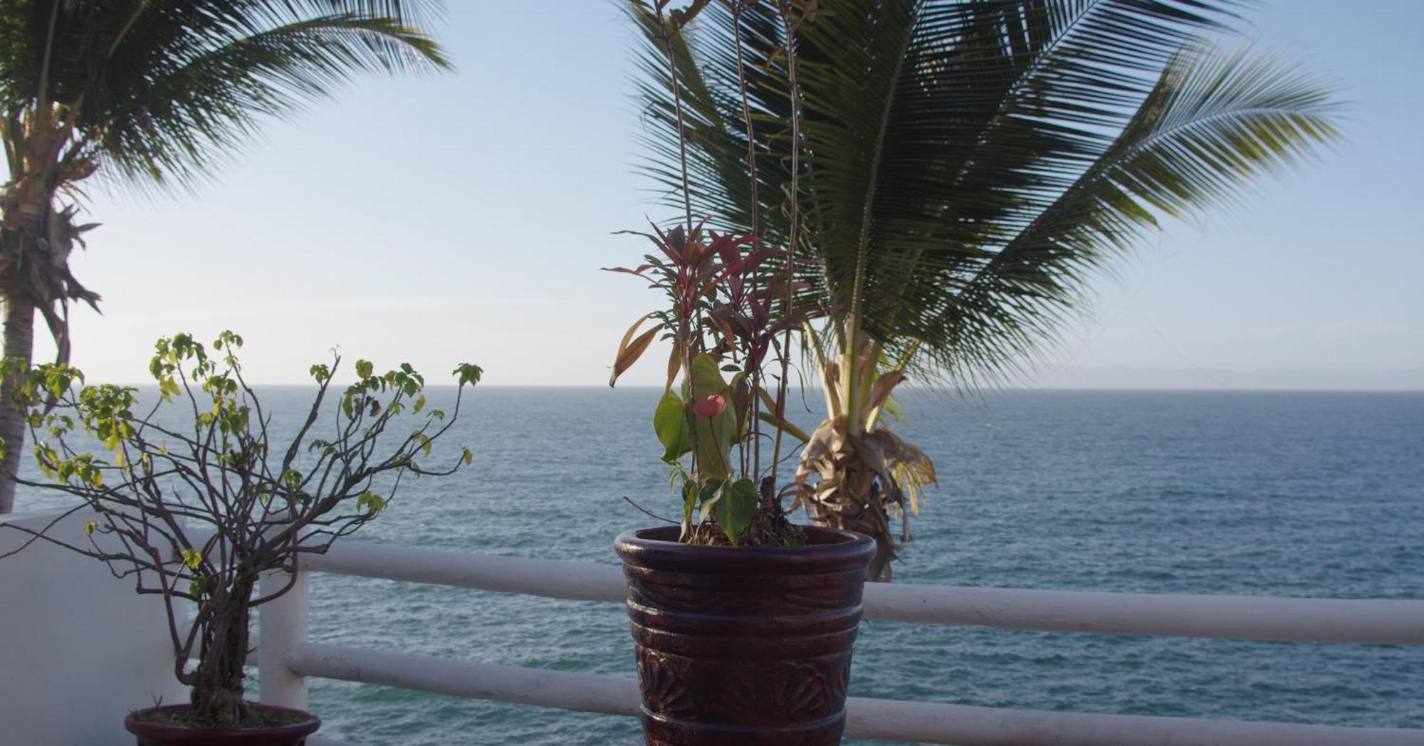 Traditional Sierra Leon Oceanfront Rooms - Adults Only Puerto Vallarta Exterior foto
